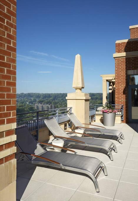Bright And Cozy Apartment Near Pentagon City Arlington Bagian luar foto