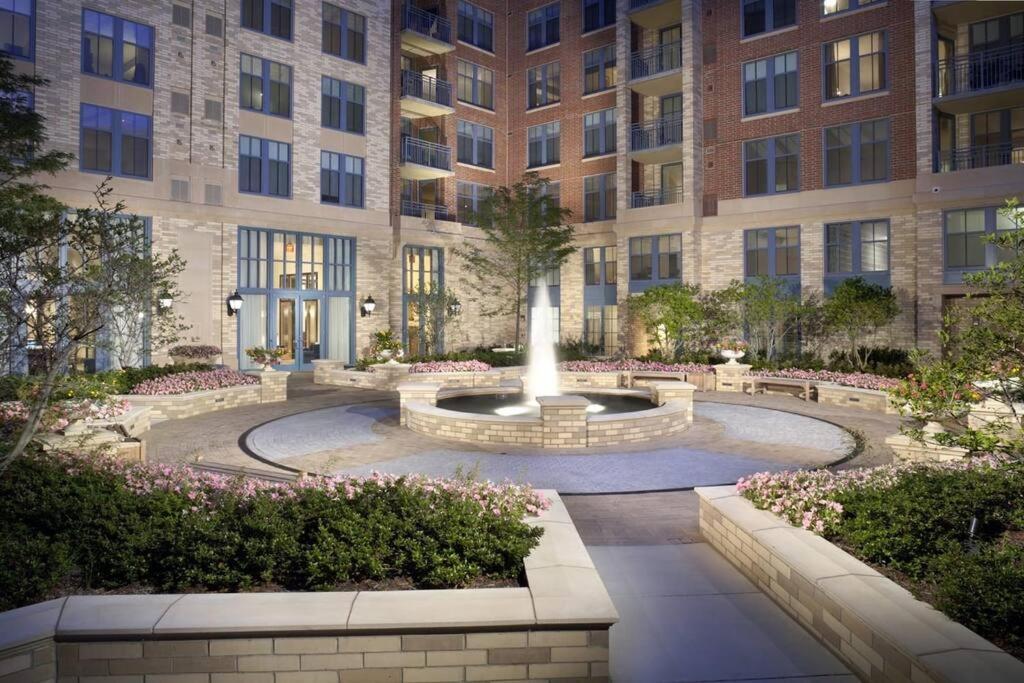 Bright And Cozy Apartment Near Pentagon City Arlington Bagian luar foto