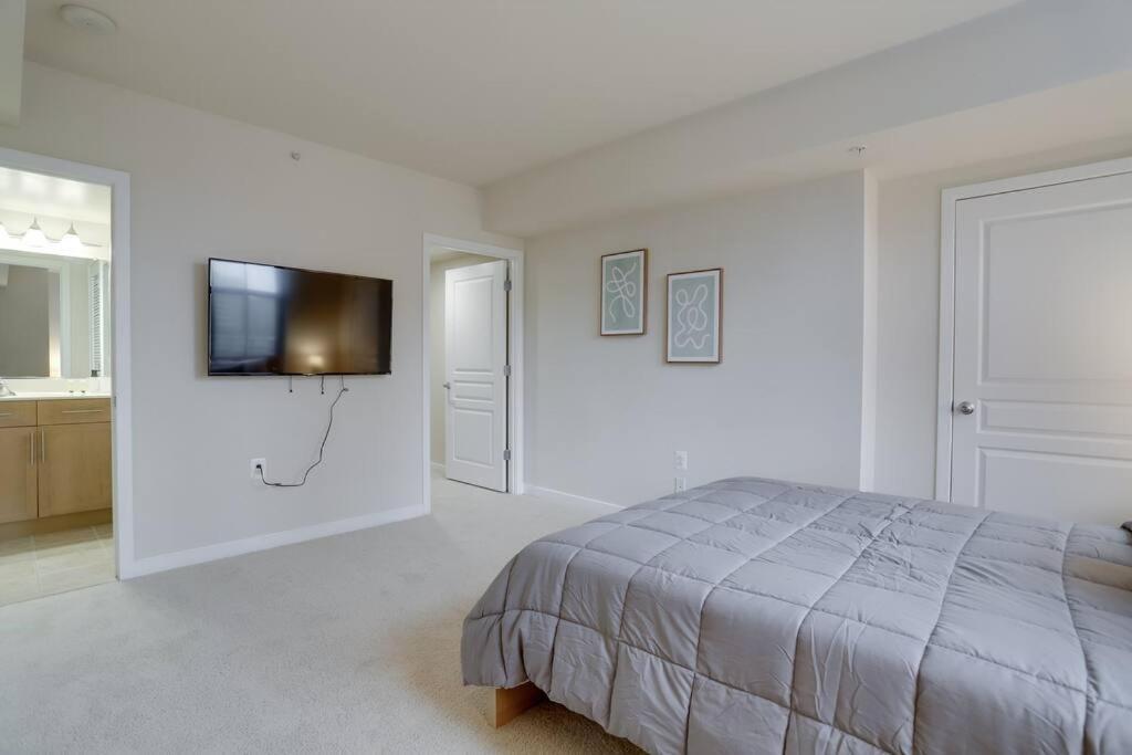 Bright And Cozy Apartment Near Pentagon City Arlington Bagian luar foto