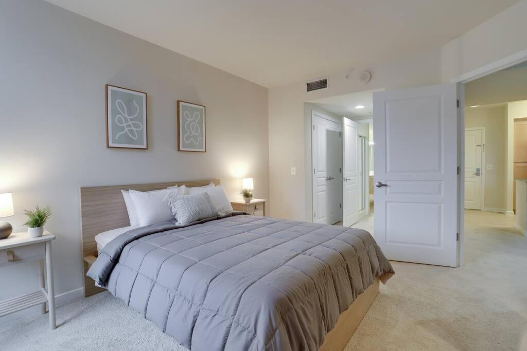 Bright And Cozy Apartment Near Pentagon City Arlington Bagian luar foto